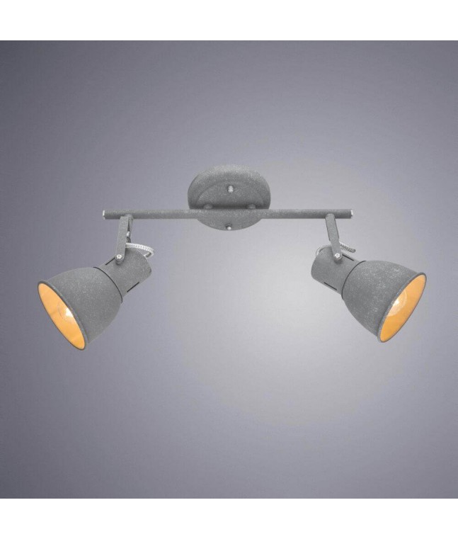 Спот Arte Lamp Jovi A1677PL-2GY