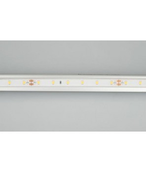 Светодиодная влагозащищенная лента Arlight 4,8W/m 60LED/m 2835SMD холодный белый 5M 034157