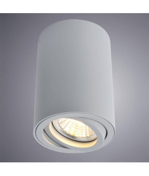 Подсветка точечная Arte Lamp Sentry A1560PL-1GY