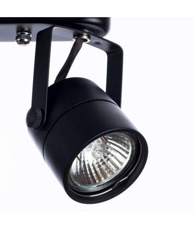 Спот Arte Lamp Lente A1310PL-2BK