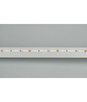 Светодиодная лента Arlight 9,6W/m 120LED/m 2216SMD холодный белый 5M 024410(2)