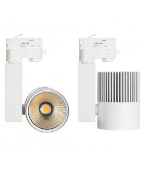 Трековый светодиодный светильник Arlight LGD-Ares-4TR-R100-40W Day4000 026377