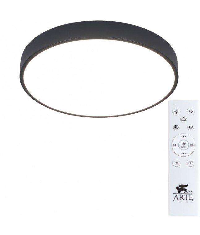 Светильник потолочный Arte Lamp Arena A2661PL-1BK