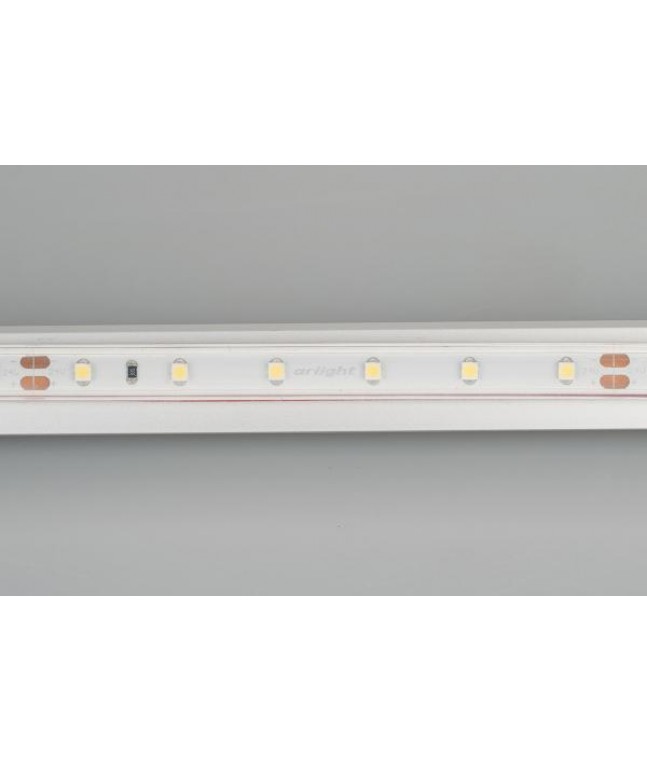 Светодиодная влагозащищенная лента Arlight 4,8W/m 60LED/m 3528SMD белый 50M 024562(2)